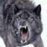 Bigbadwolf
